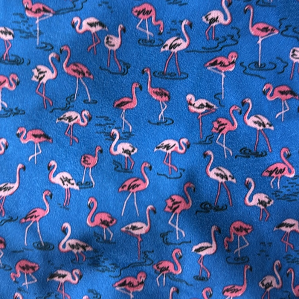 Bonobos Flamingo Swim Trunks - Picture 2 of 4